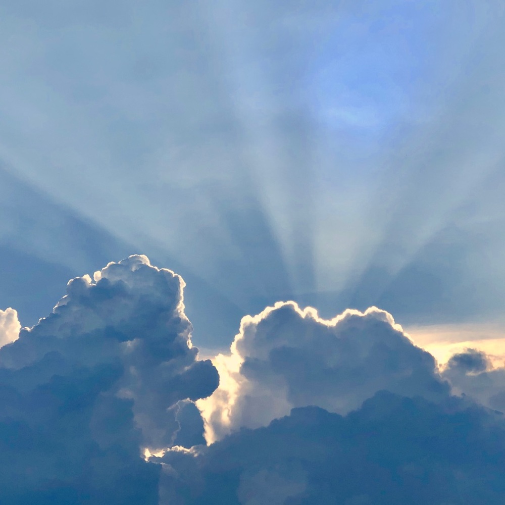 Meet your Posher, Todd